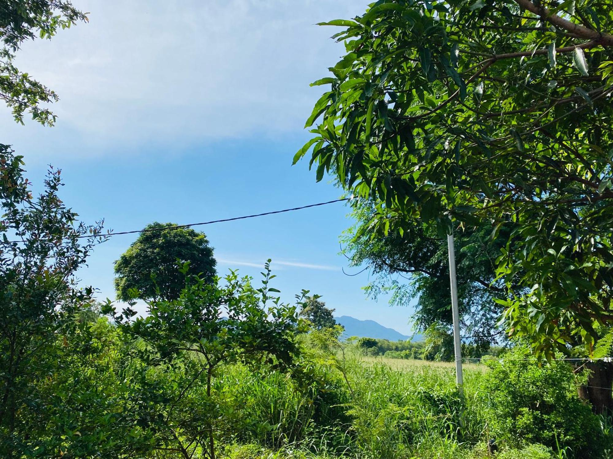 Fairview Dill Homestay Sigiriya Eksteriør bilde