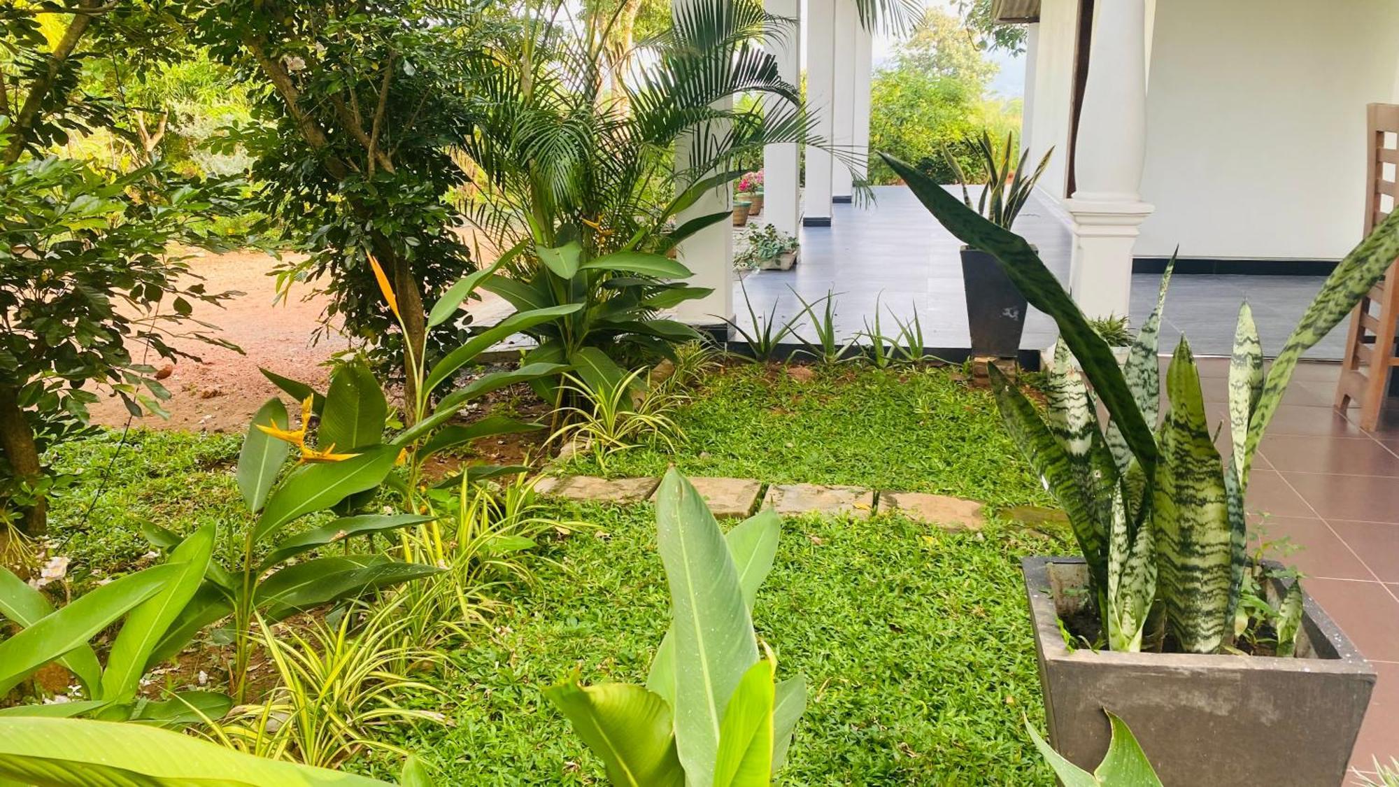 Fairview Dill Homestay Sigiriya Eksteriør bilde