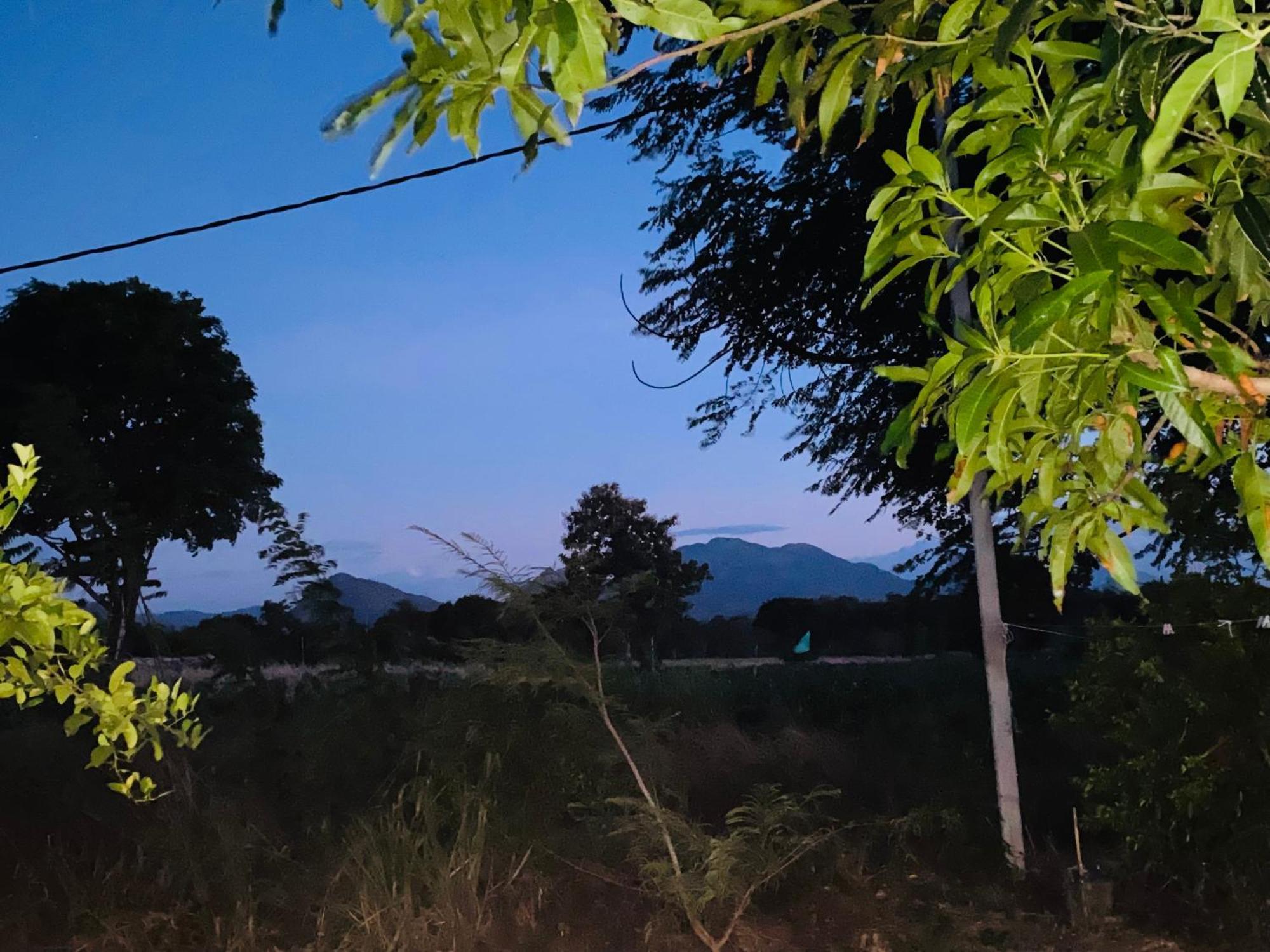 Fairview Dill Homestay Sigiriya Eksteriør bilde