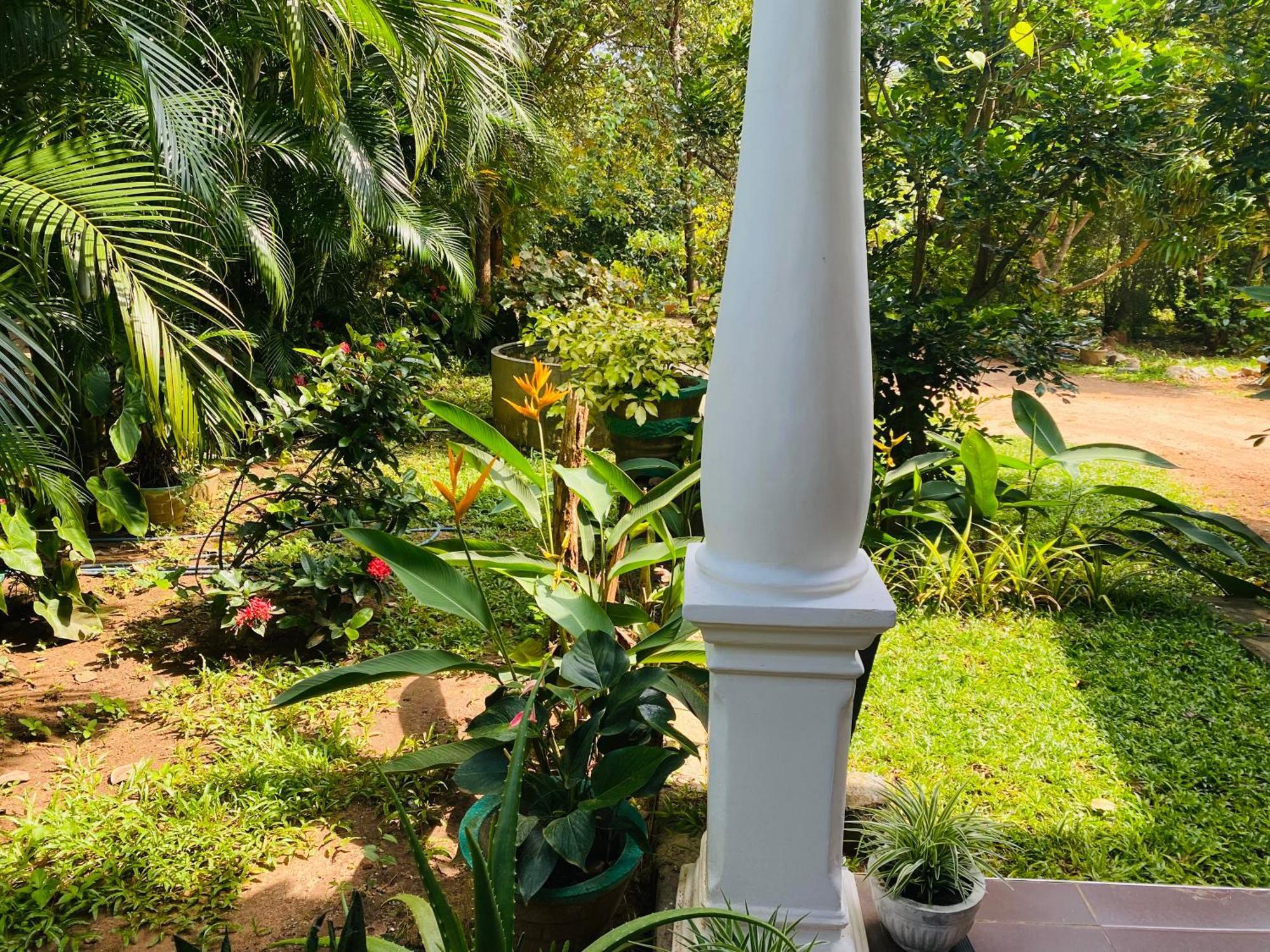 Fairview Dill Homestay Sigiriya Eksteriør bilde
