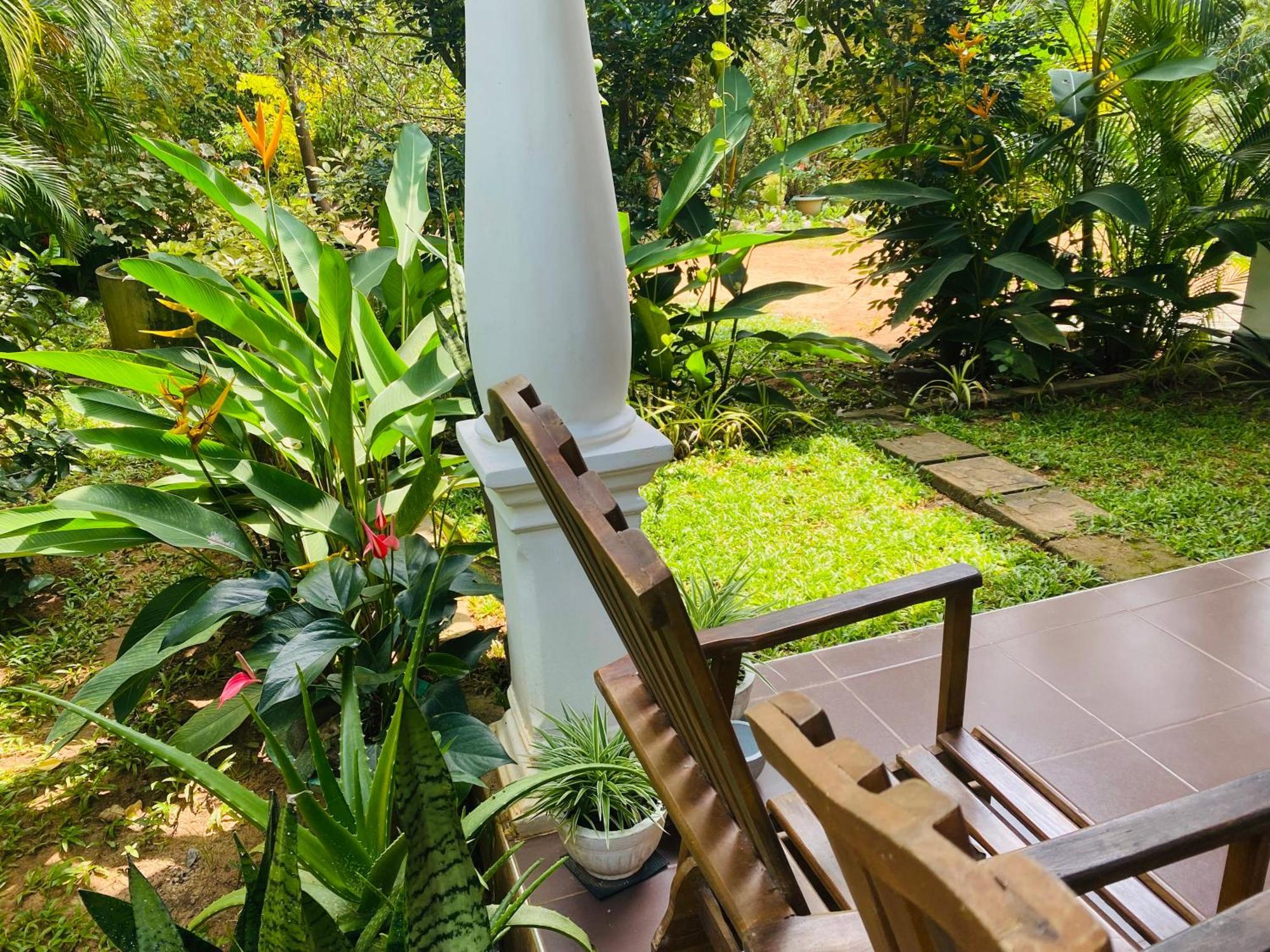 Fairview Dill Homestay Sigiriya Eksteriør bilde