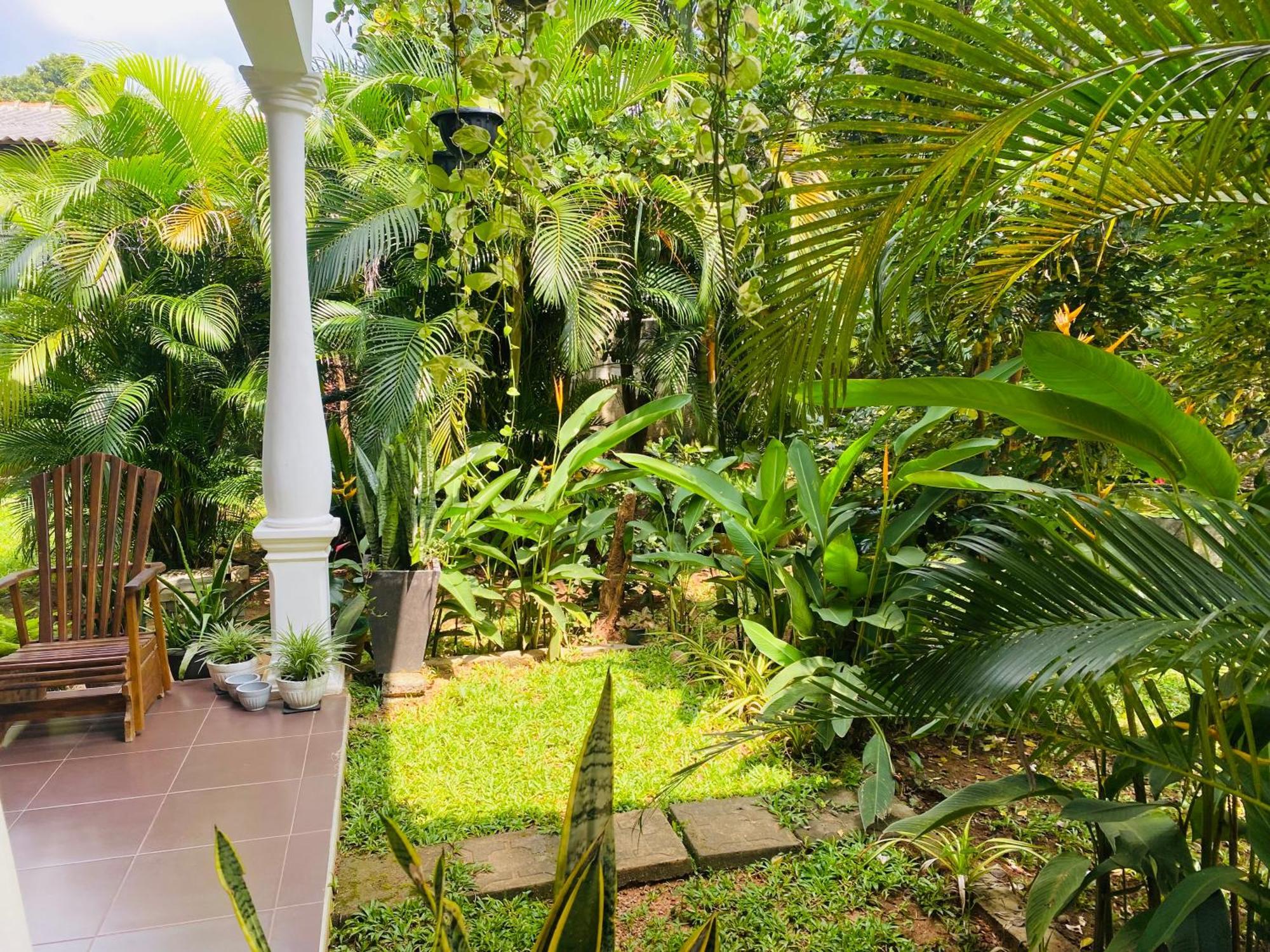 Fairview Dill Homestay Sigiriya Eksteriør bilde